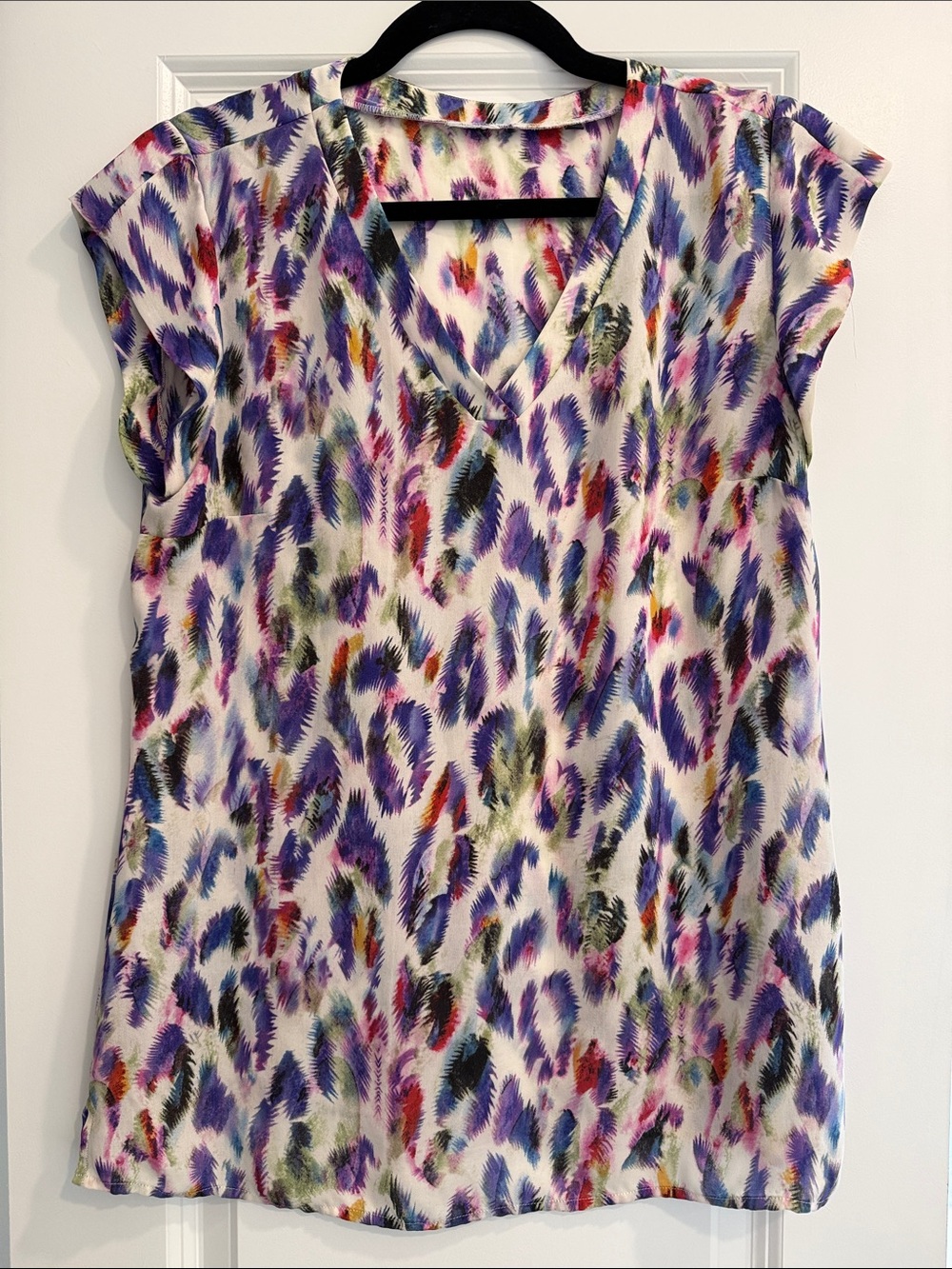 Multicolor Feather-Print V-Neck Blouse